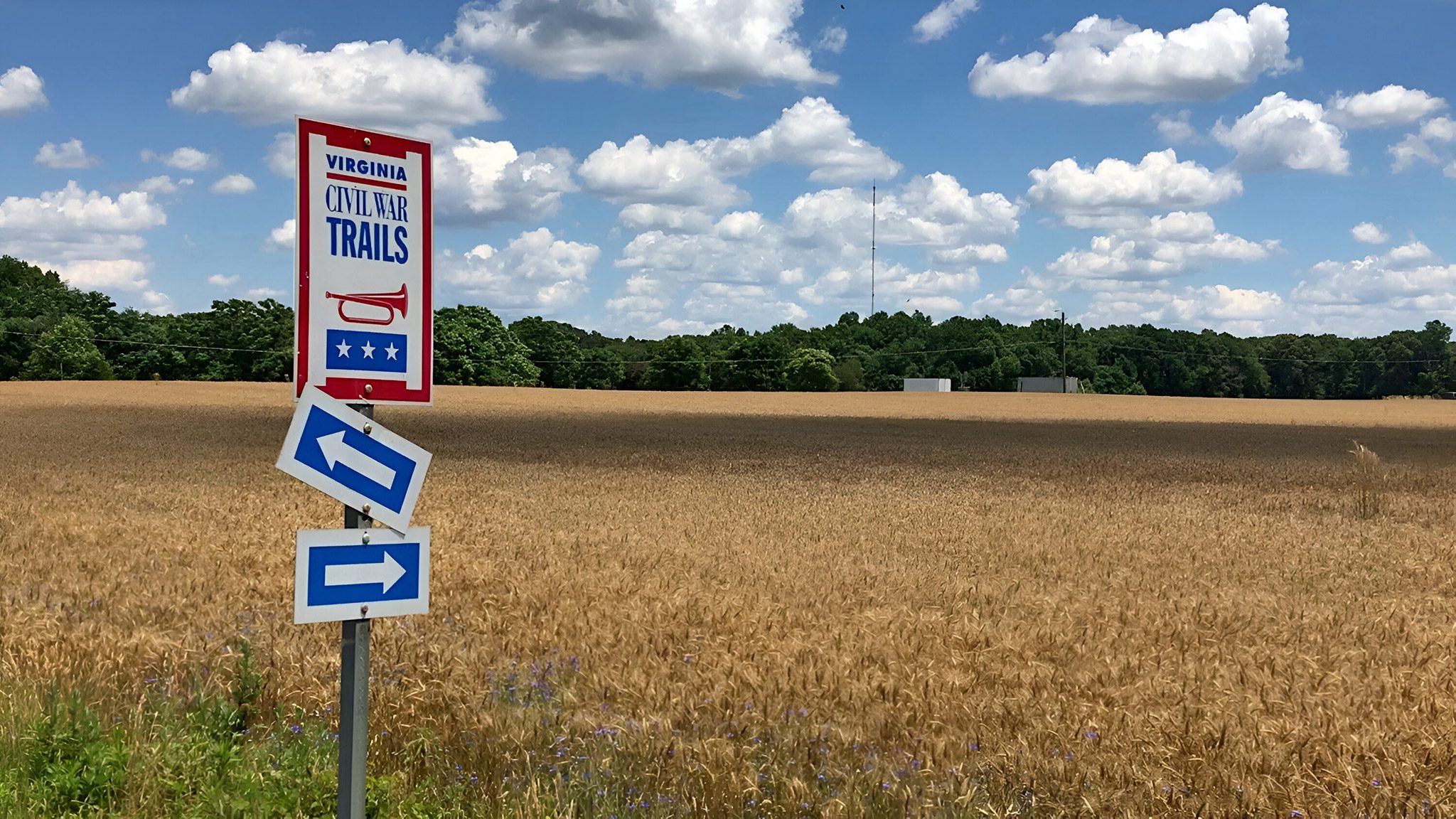 A civil war trails road sign in front of a wheat field.